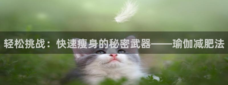 qq体育直播网