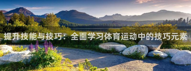 qq体育群打卡别人可以看见吗