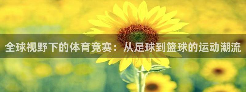 关键词
